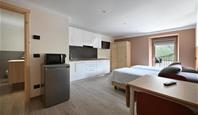 FREE SKI Apartmány ALPINEA