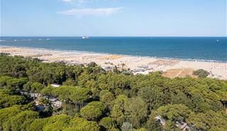 DJI_0431.jpg